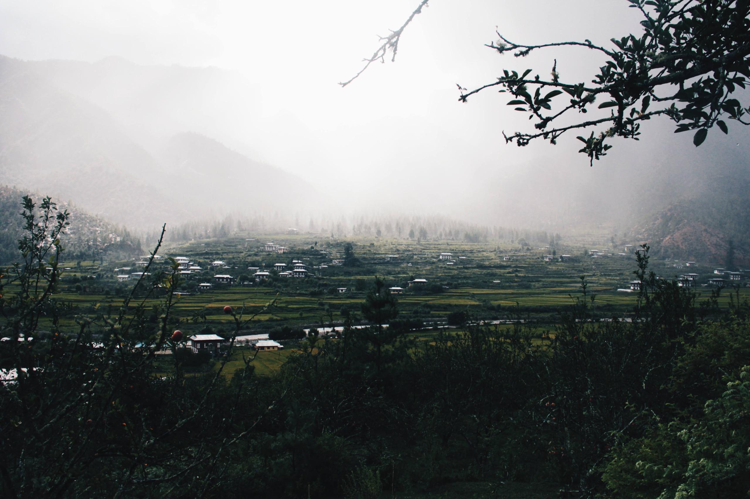 A cultivated Bhutanese valley emerging through morning mist
